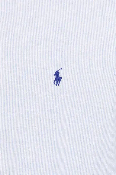 Polo Ralph Lauren Long Sleeve Stretch Linen Sport Shirt Stripe | Thumbnail 5
