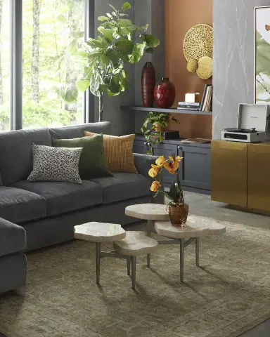 Safavieh Rowan Hand-Knotted Wool Rug | Thumbnail 5