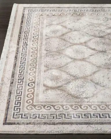 Safavieh Alexia Power-Loomed Rug | Thumbnail 2