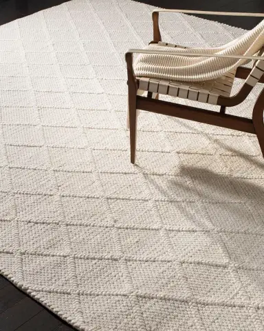 Safavieh Wren Hand-Woven Rug | Thumbnail 2