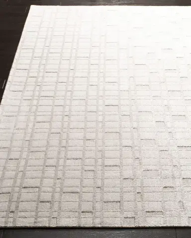 Safavieh Austin Hand-Woven Rug | Thumbnail 3