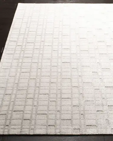 Safavieh Austin Hand-Woven Rug | Thumbnail 3
