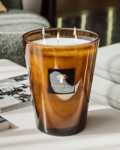 Baobab Collection Max 24 Les Prestigieuses Cuir de Russie Scented Candle | Thumbnail 3