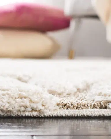 Safavieh Josiah Power-Loomed Shag Rug | Thumbnail 5