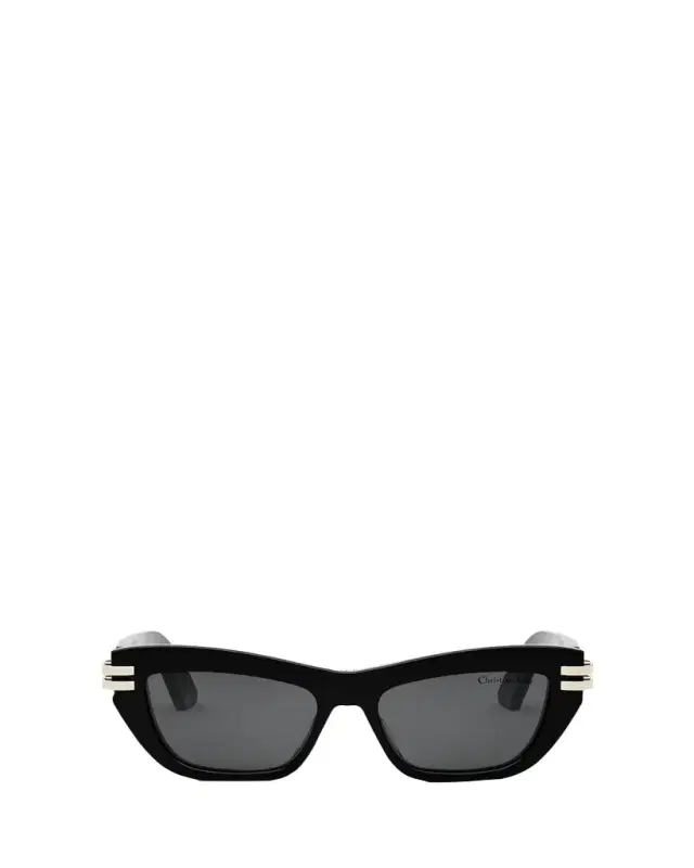 Dior C B2U Sunglasses