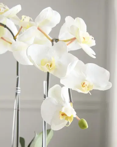 T & C Floral Company Double Orchid with Quartz 22" Faux Floral Arrangement in Ceramic Pot | Thumbnail 6