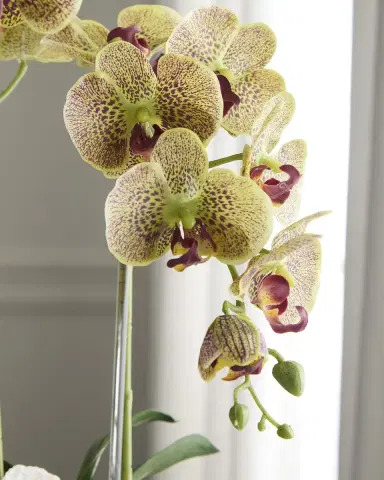 T & C Floral Company Double Orchid with Quartz 22" Faux Floral Arrangement in Ceramic Pot | Thumbnail 6
