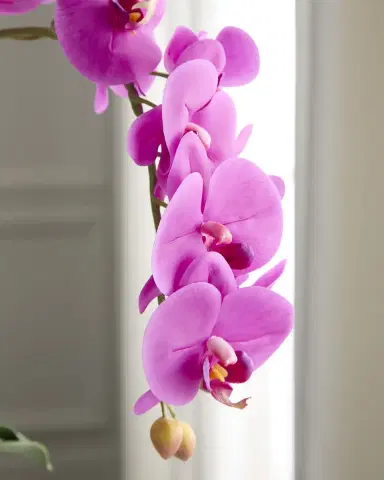 T & C Floral Company Double Orchid with Quartz 22" Faux Floral Arrangement in Ceramic Pot | Thumbnail 6