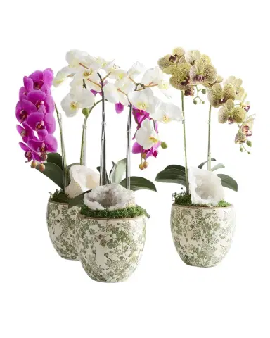T & C Floral Company Double Orchid with Quartz 22" Faux Floral Arrangement in Ceramic Pot | Thumbnail 1