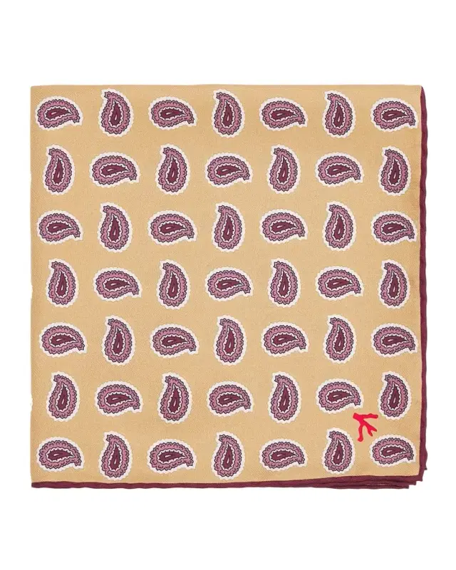 Isaia Men 's Paisley Silk Pocket Square