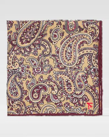Isaia Men's Paisley Silk Pocket Square | Thumbnail 2