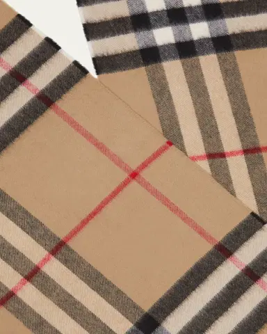 Burberry Men's Giant Check Cashmere Scarf | Thumbnail 2