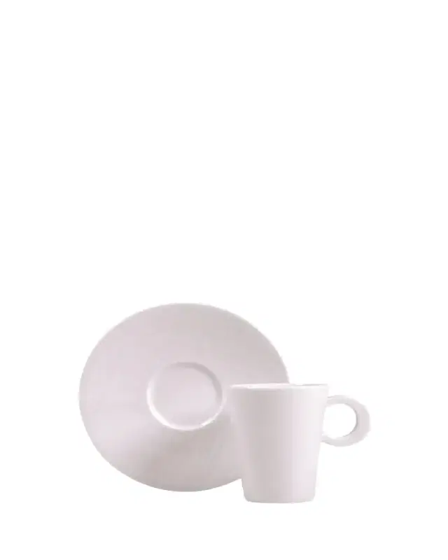 Bernardaud Organza A/D Teacup and Saucer