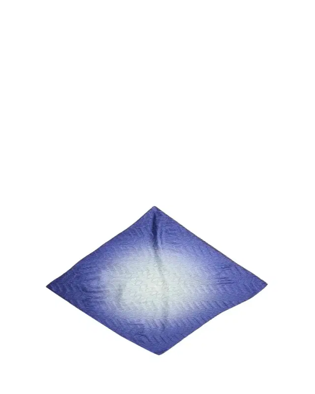 Giorgio Armani Pleated Silk Stole