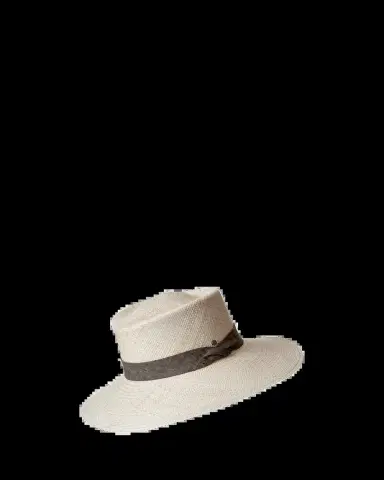 Inverni Men's Large-Brim Panama Straw Hat | Thumbnail 2
