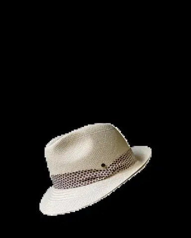 Inverni Men's Small-Brim Panama Straw Hat | Thumbnail 2