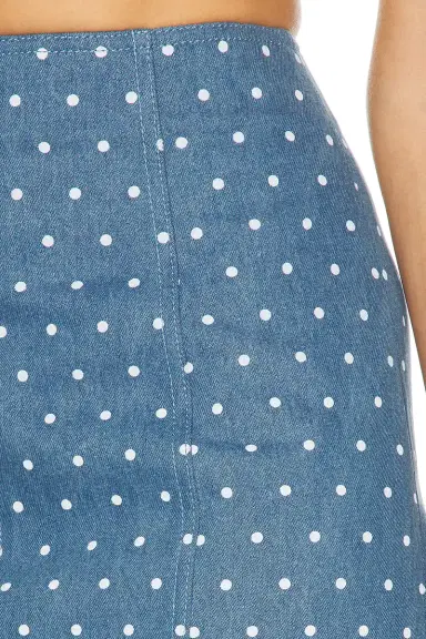 Carolina Herrera High Waisted Midi Skirt | Thumbnail 6