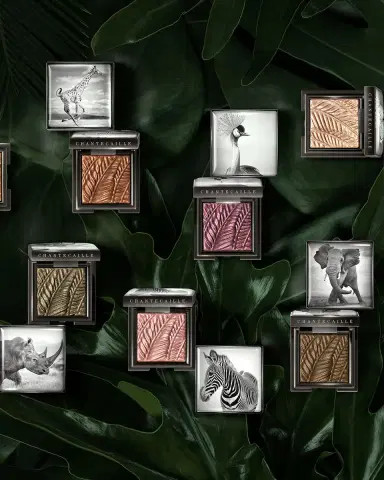 Chantecaille Luminescent Eye Shades | Thumbnail 4 Chantecaille Luminescent Eye Shades | Thumbnail 4
