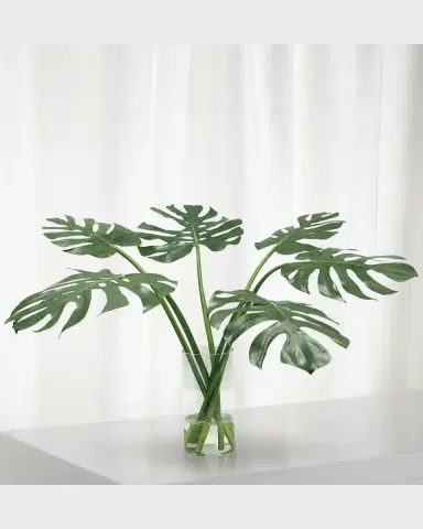 Winward Home Monstera in Cylinder Vase | Thumbnail 2