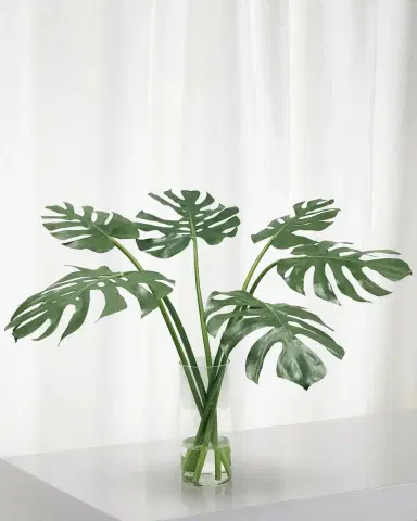 Winward Home Monstera in Cylinder Vase | Thumbnail 1