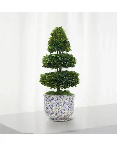 Winward Home Rodeo Boxwood Topiary | Thumbnail 2