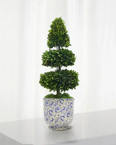 Winward Home Rodeo Boxwood Topiary | Thumbnail 1