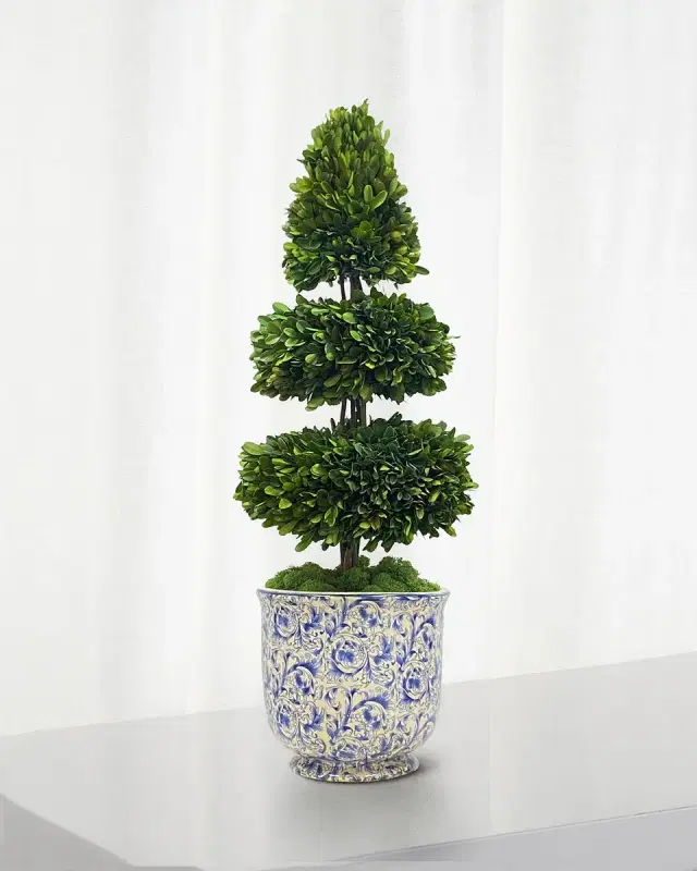 Winward Home Rodeo Boxwood Topiary