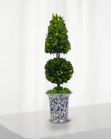 Winward Home Preserved Coneball Boxwood Topiary In Porcelain Vase - 24" | Thumbnail 1