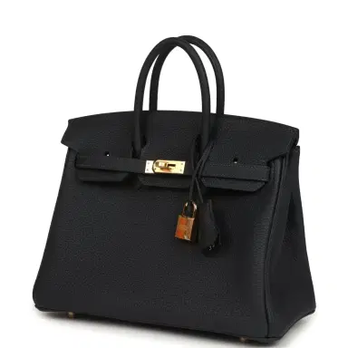 HERMÈS Hermes Birkin 25 Caban Togo Gold Hardware | Thumbnail 5
