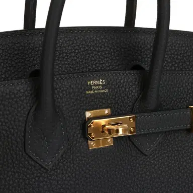 HERMÈS Hermes Birkin 25 Caban Togo Gold Hardware | Thumbnail 7