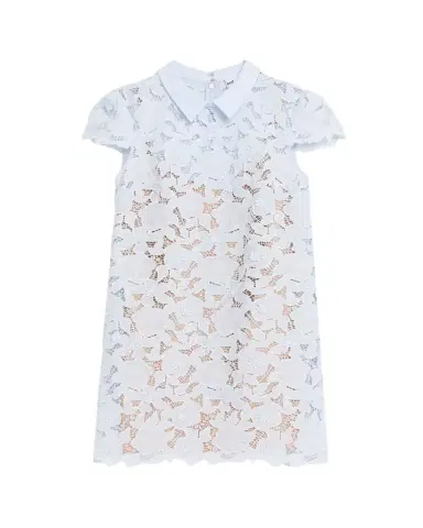 Self-Portrait Floral Guipure Lace Mini Dress | Thumbnail 1