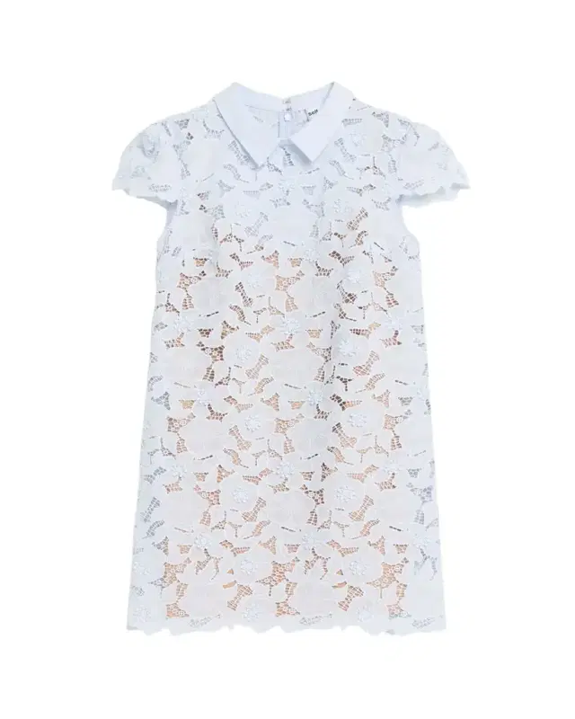 Self-Portrait Floral Guipure Lace Mini Dress