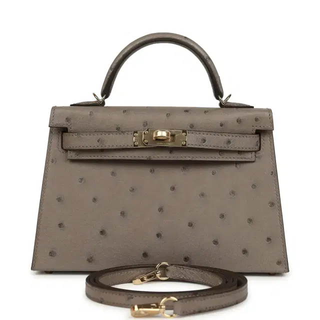 hermes Hermes Special Order (HSS) Kelly Sellier 20 Graphite Verso Ostrich Permabrass Hardware