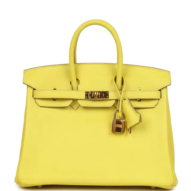hermes Pre-owned Hermes Birkin 25 Lime Swift Gold Hardware