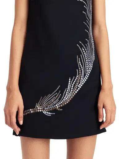 16Arlington Women's Ayre Embellished Feather Minidress - Nero - Size 10 | Thumbnail 5