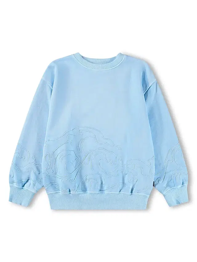 Little Boy's & Boy's Embroidered Wave Cotton Sweatshirt - Stream