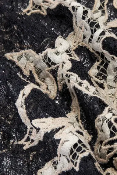 HAELO Feather Lace Mini Dress | Thumbnail 5