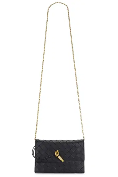 Bottega Veneta Andiamo Wallet On Chain Bag | Thumbnail 6 Bottega Veneta Andiamo Wallet On Chain Bag | Thumbnail 6