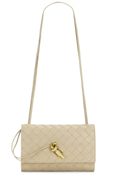 Bottega Veneta Andiamo Wallet On Strap | Thumbnail 1