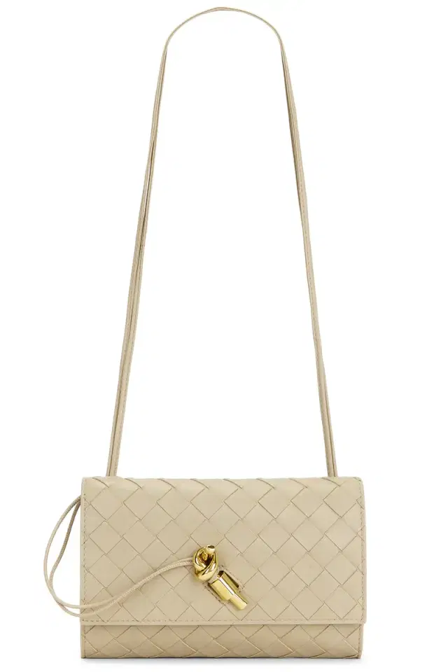 Bottega Veneta Andiamo Wallet On Strap
