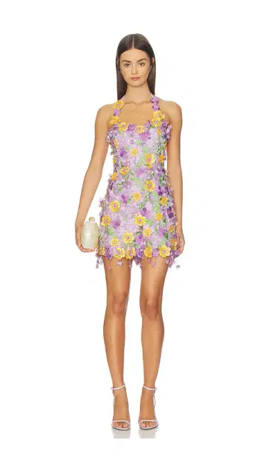 PatBo Tulle Pina Embroidered Mini Dress | Thumbnail 1