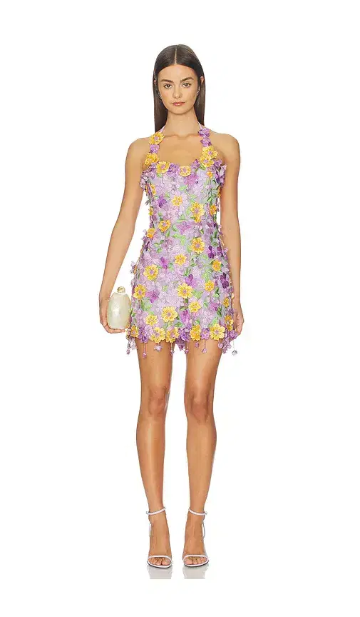 Tulle Pina Embroidered Mini Dress