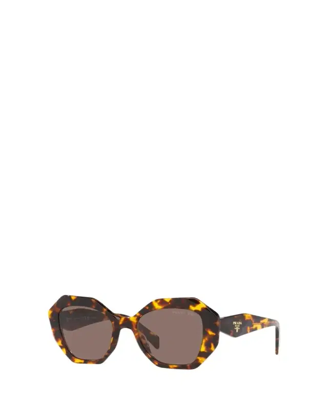 Tortoiseshell Geometric Acetate Cat-Eye Sunglasses