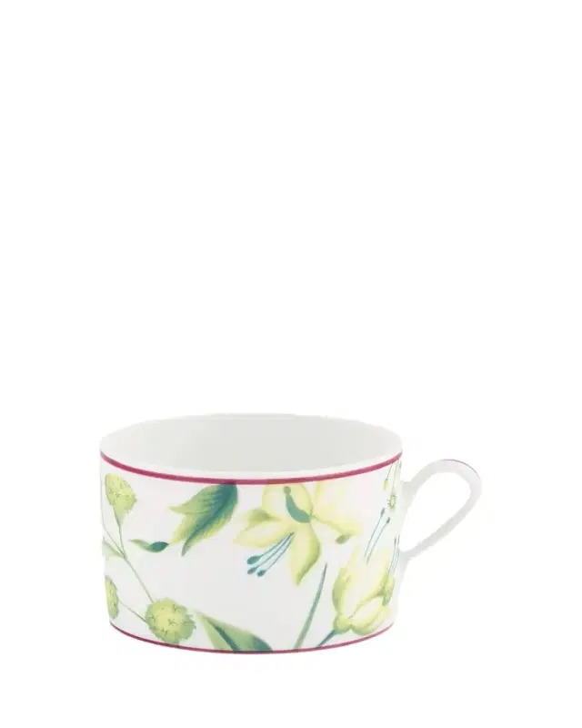 GINORI 1735 Florenza Acanto Tea Cup, 7.4 oz.