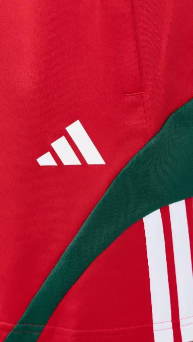 adidas House of Tiro Nations Track Shorts 7 Better carlet/Team Dark Green | Thumbnail 6
