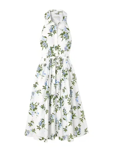 Emilia Wickstead Norika Belted Floral-print Cotton-poplin Midi Shirt Dress | Thumbnail 1 Emilia Wickstead Norika Belted Floral-print Cotton-poplin Midi Shirt Dress | Thumbnail 1