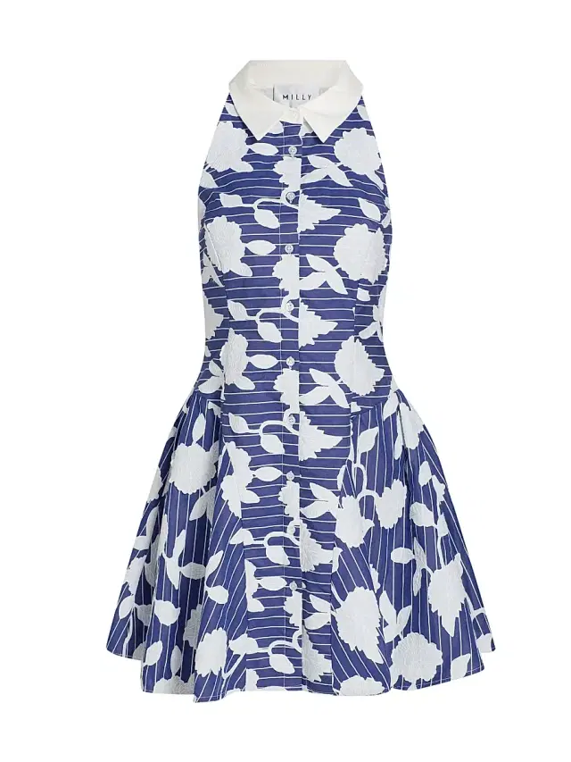 Milly Women's Maxine Floral-Embroidered Minidress - Blue White