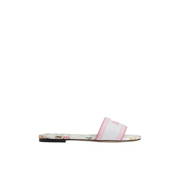 Dior Dway Slide