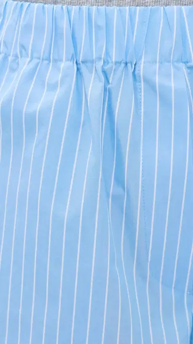 Secular Bermuda Shorts Blue Stripe | Thumbnail 6
