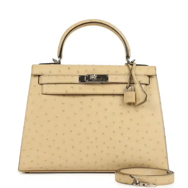 hermes Pre-owned Hermes Kelly Sellier 28 Parchemin Ostrich Palladium Hardware